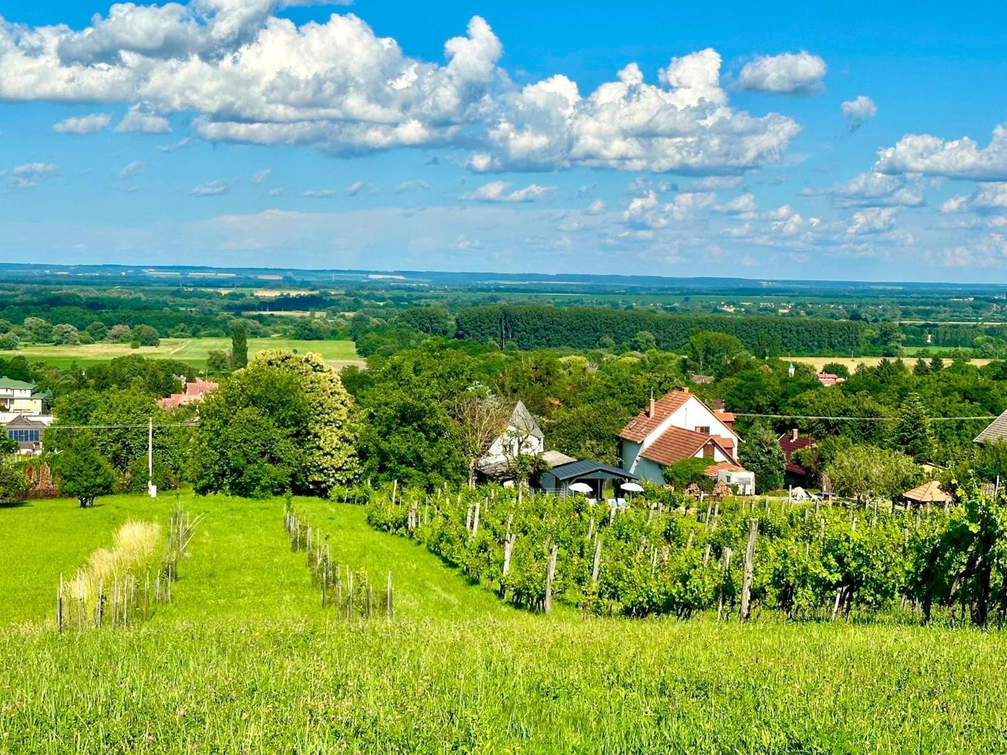 Szent Orban Panzio - Kutyabarat Apartmanok Zalakaros Buitenkant foto