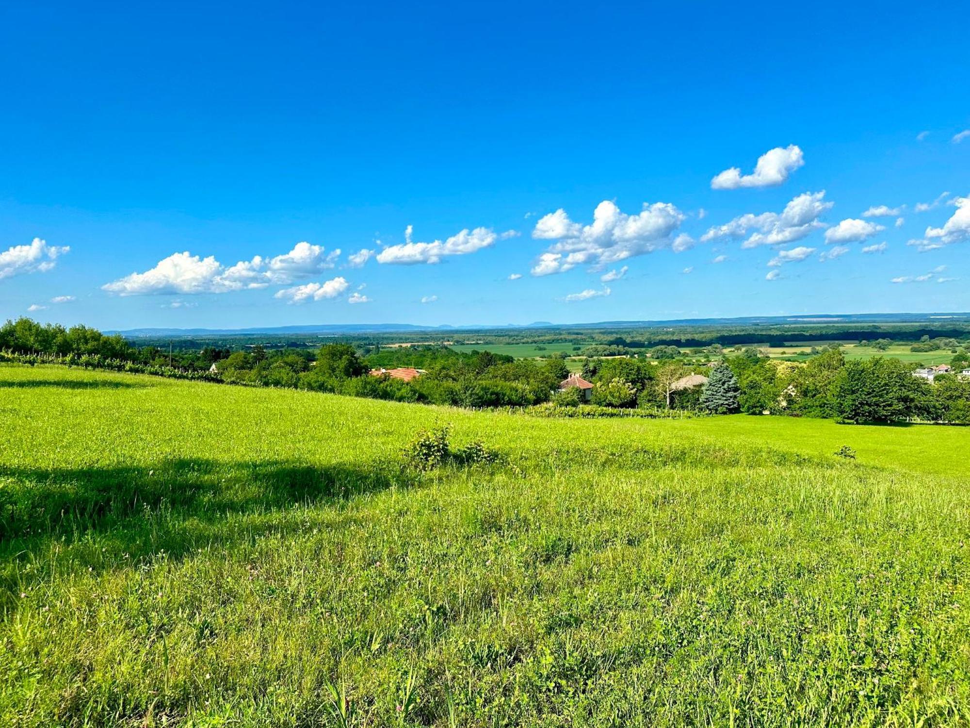 Szent Orban Panzio - Kutyabarat Apartmanok Zalakaros Buitenkant foto