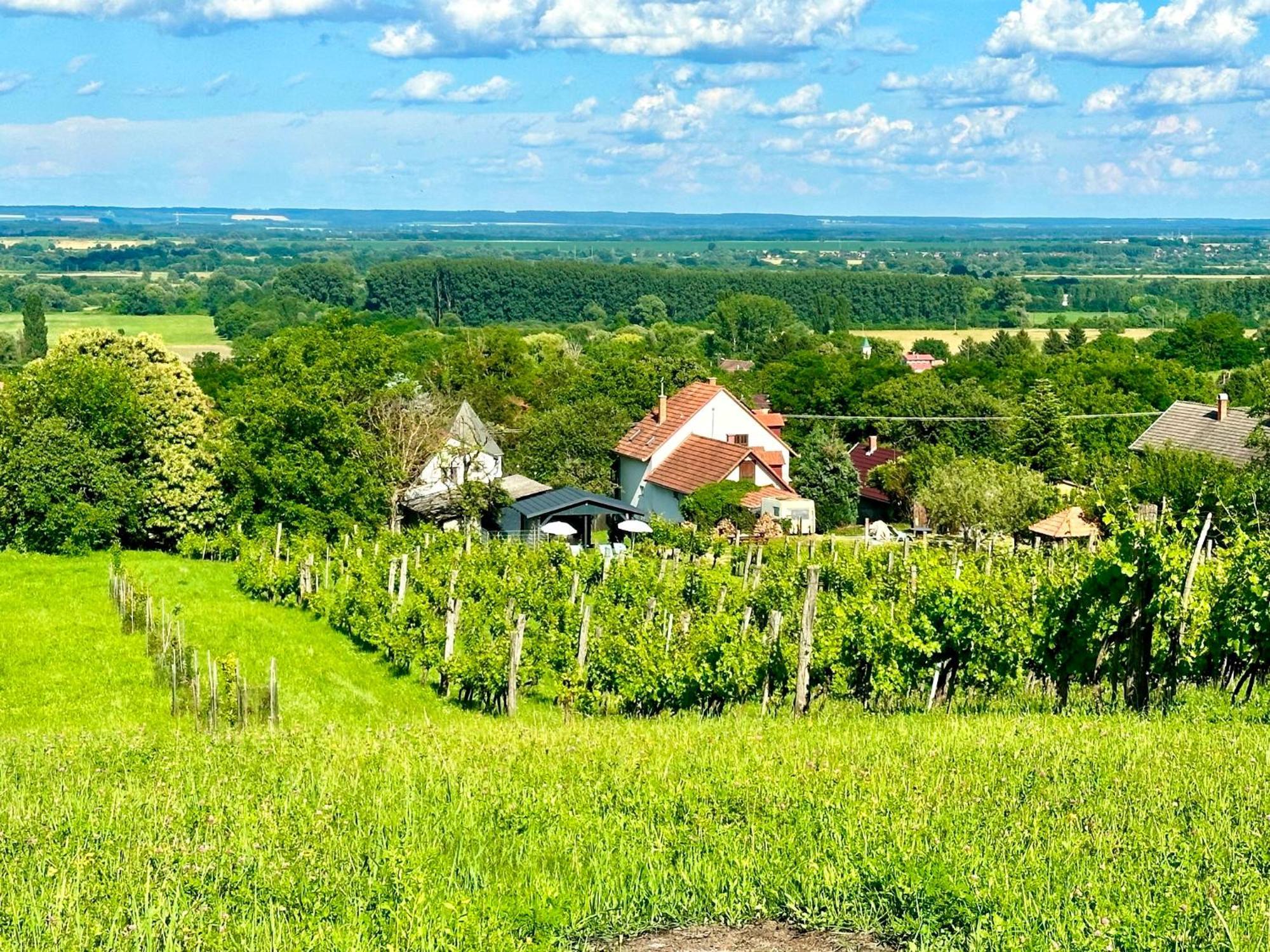 Szent Orban Panzio - Kutyabarat Apartmanok Zalakaros Buitenkant foto